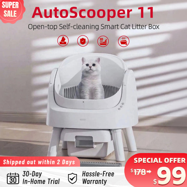 No More Scooping! Self-Cleaning Cat Litter Box with Safety & Odor Protection